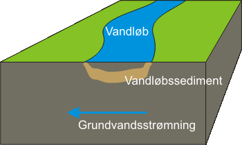 naturligt system, som forsgsopstillingen efterligner